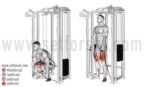 low back cable exercise