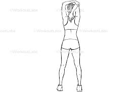 morning stretches for seniors