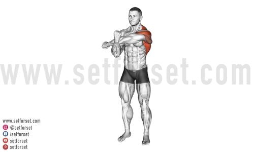 overhead press stretches