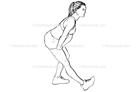 what stretches are good for older adults