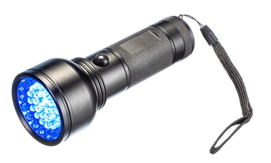 Large UV Flashlight - UV Wavelength (395nm) - 6