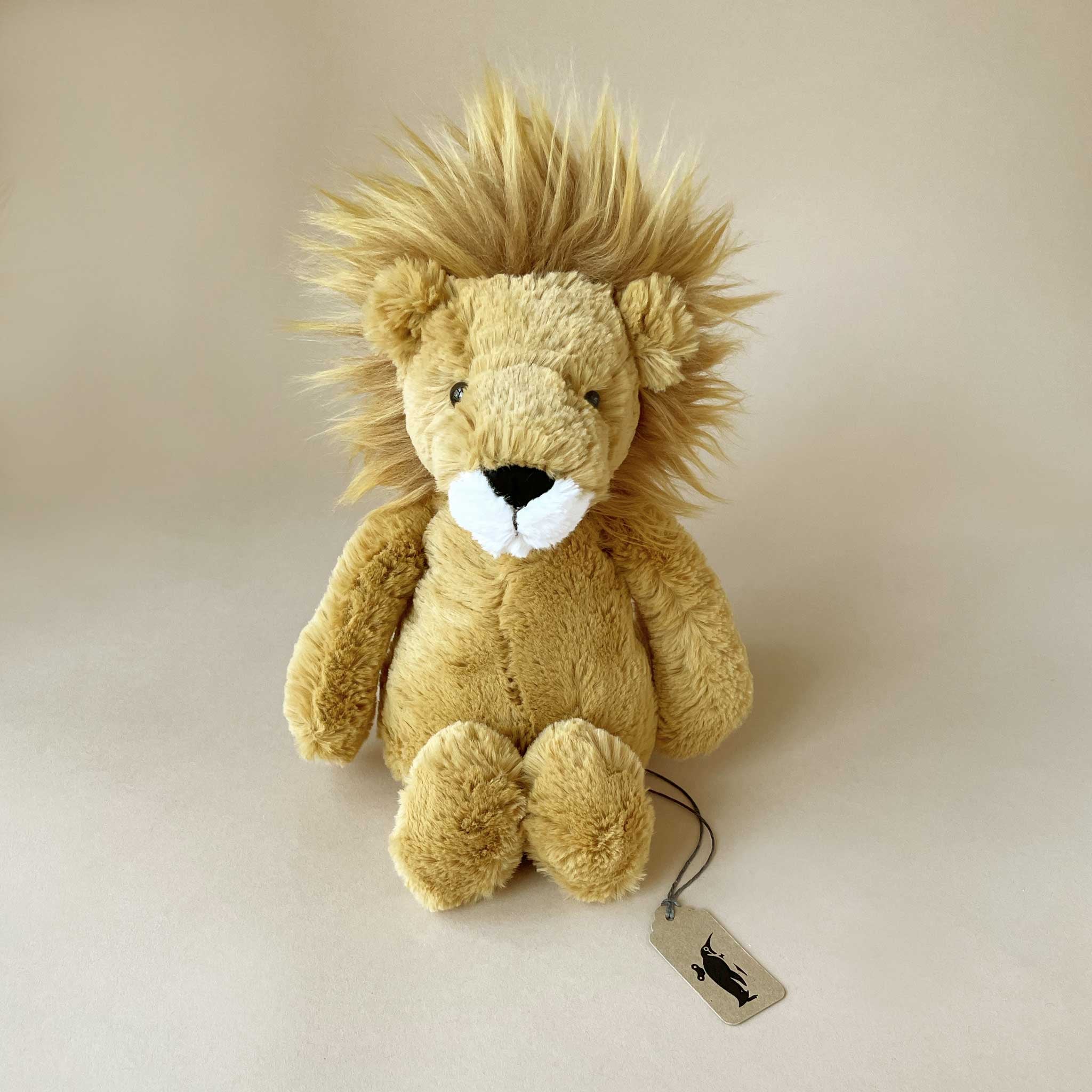 Bashful Lion | Medium