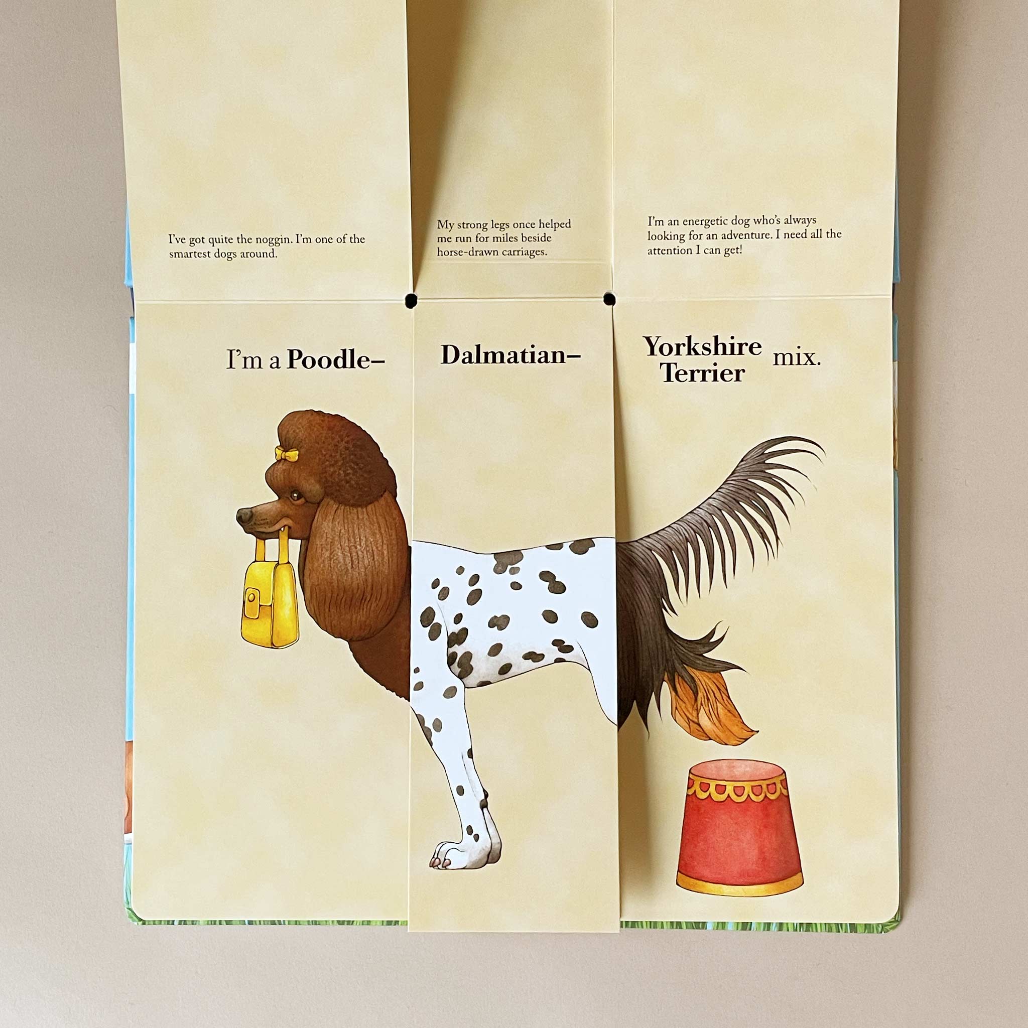 Mix-A-Mutt Flip & Flop Book