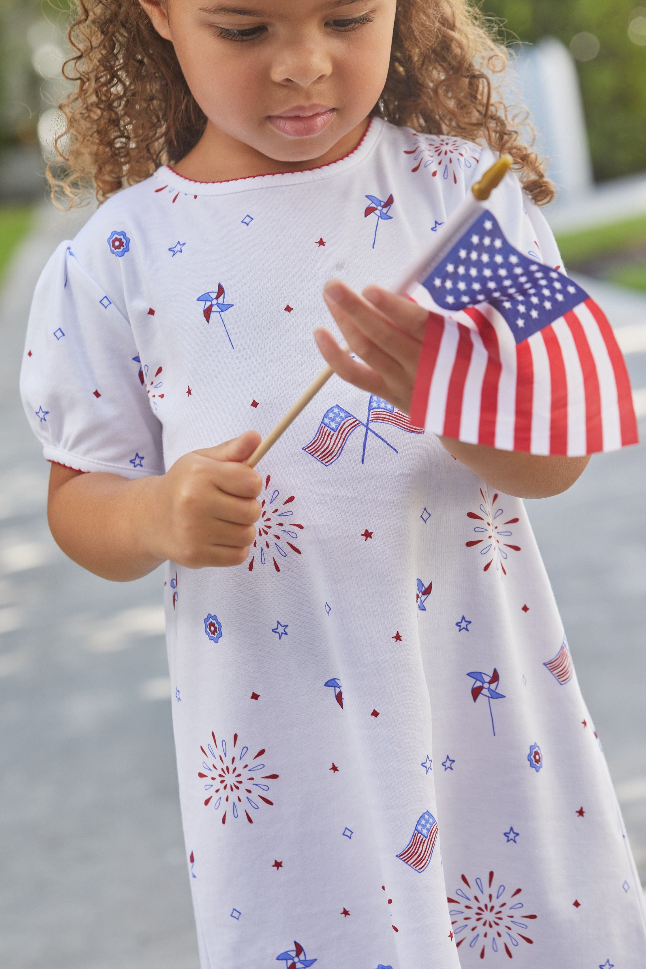 Printed T Shirt Dress- Patriotic Flags