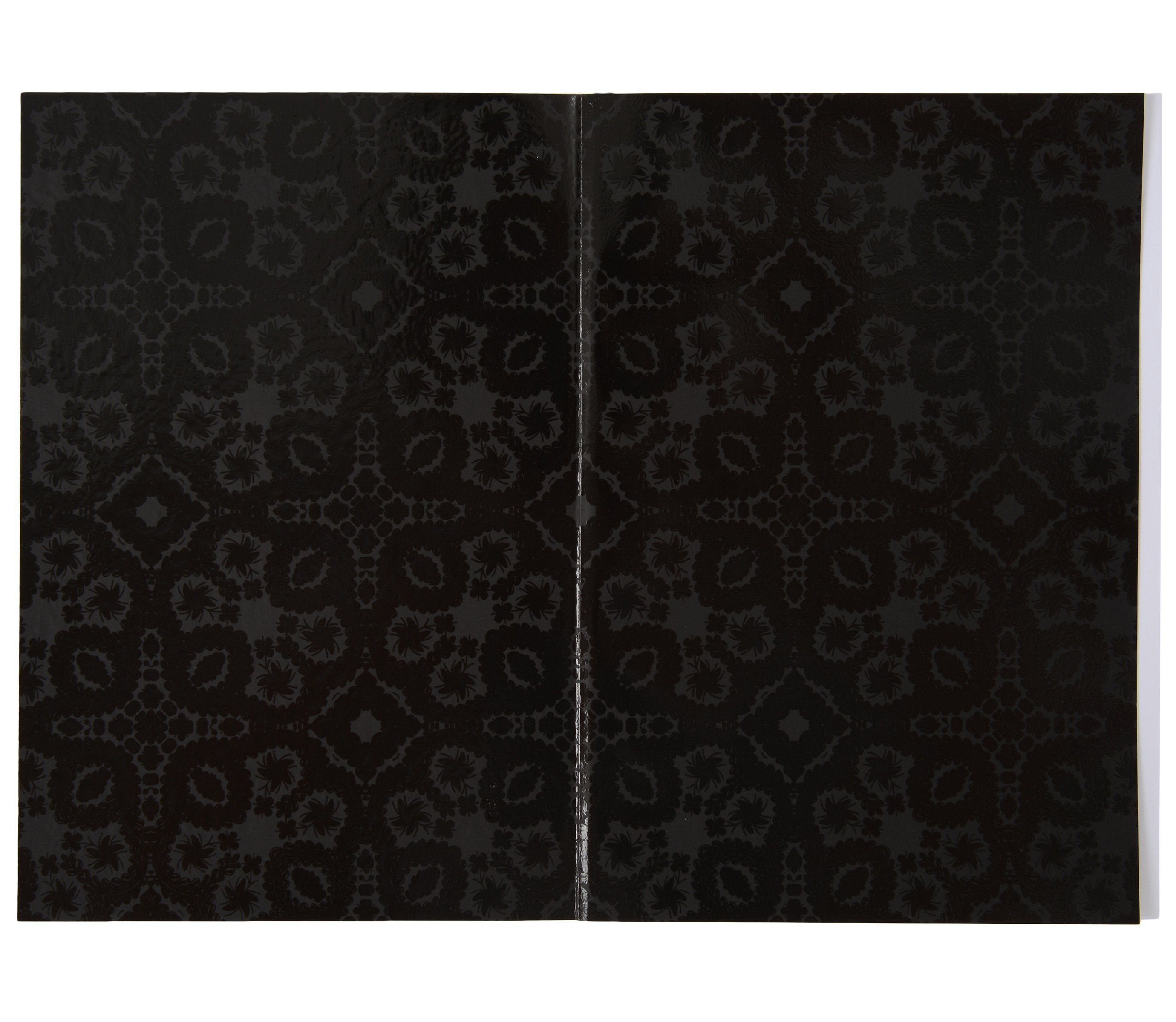 Christian Lacroix Neon Black Ombre Paseo Notebook (Medium)