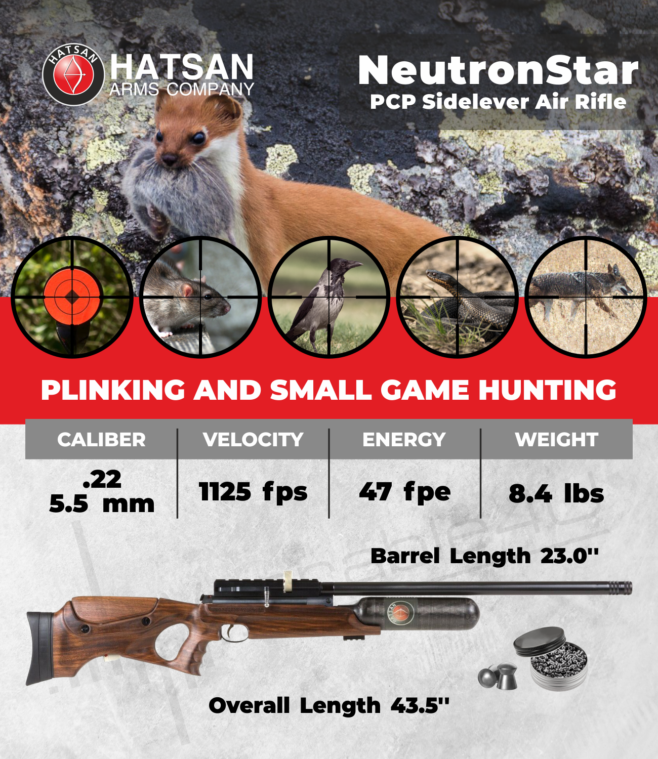 Hatsan NeutronStar PCP .22 Cal Air Rifle with Pack of 250ct Pellets and 100x Paper Targets Bundle