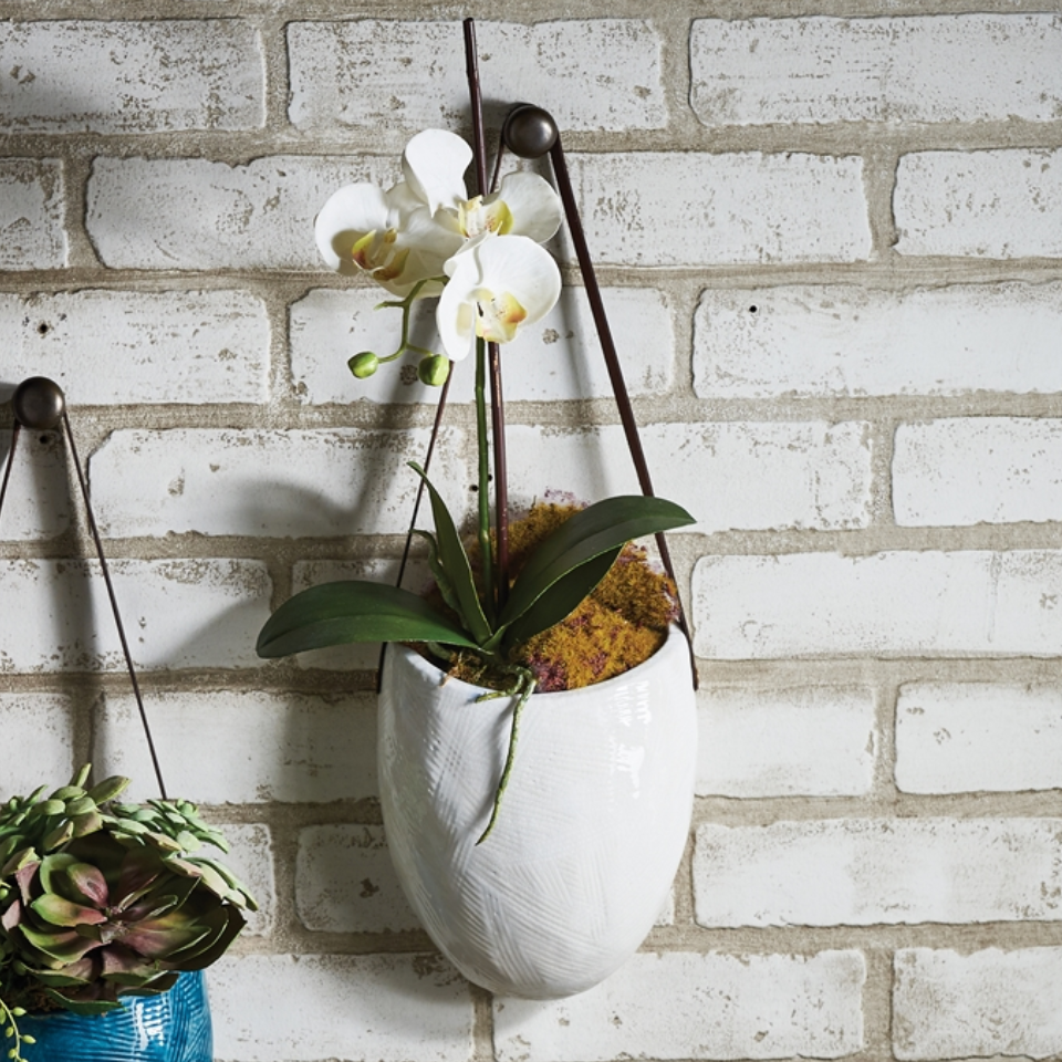 Wall Planter