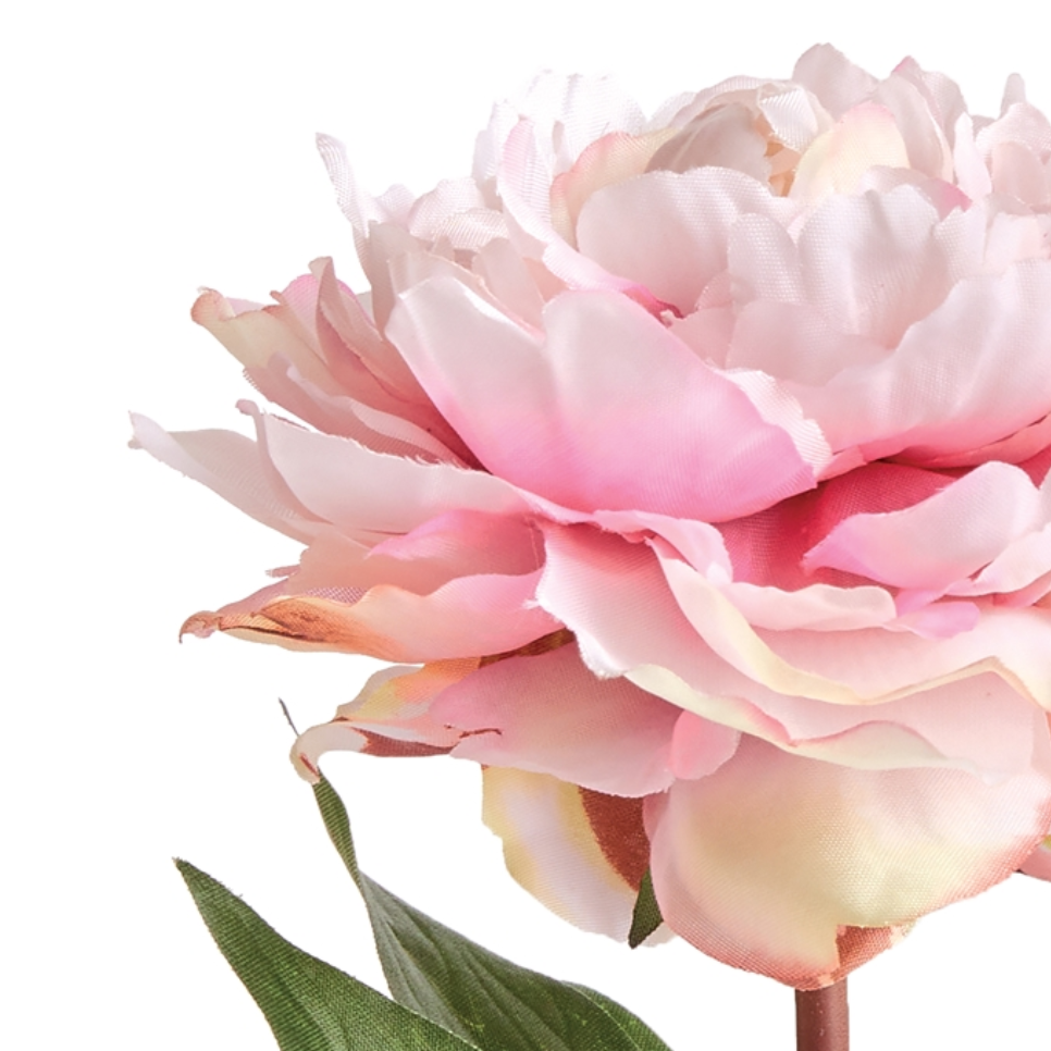 Mini Potted Peony - Light Pink