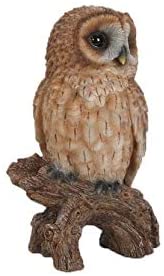 UKN Small Owl Stump Polyresin