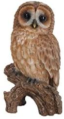 UKN Small Owl Stump Polyresin