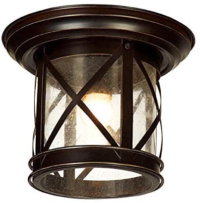 1 Light Outdoor Ceiling Mounted Light Sandy Black Finish Modern Contemporary Transitional