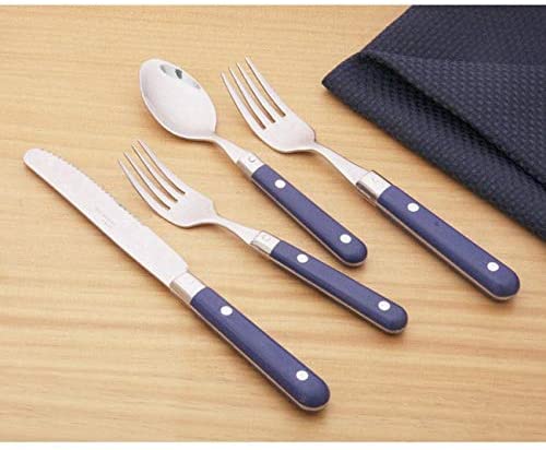 Royal Blue Stainless Steel 20 Piece Flatware Set (Service 4) Metal