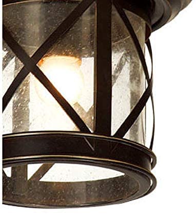 1 Light Outdoor Ceiling Mounted Light Sandy Black Finish Modern Contemporary Transitional