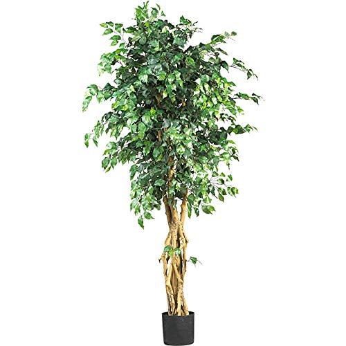 6 Foot Silk Ficus Tree Moraceae Faux Inhouse Plant 6ft Artificial Tree Feaux Plants Indoor Fig Trees Tall Tropical Figs Fake Houseplant Polyester
