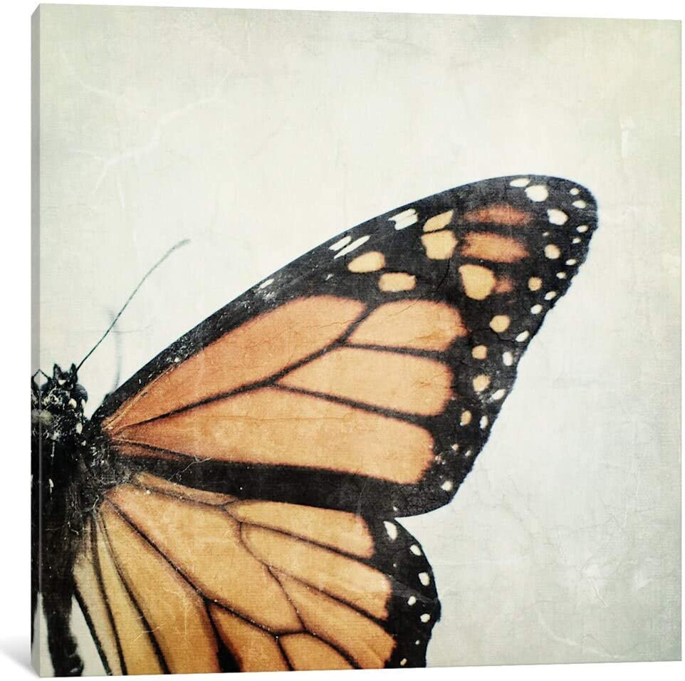 Unknown1 Monarch Canvas Rectangle