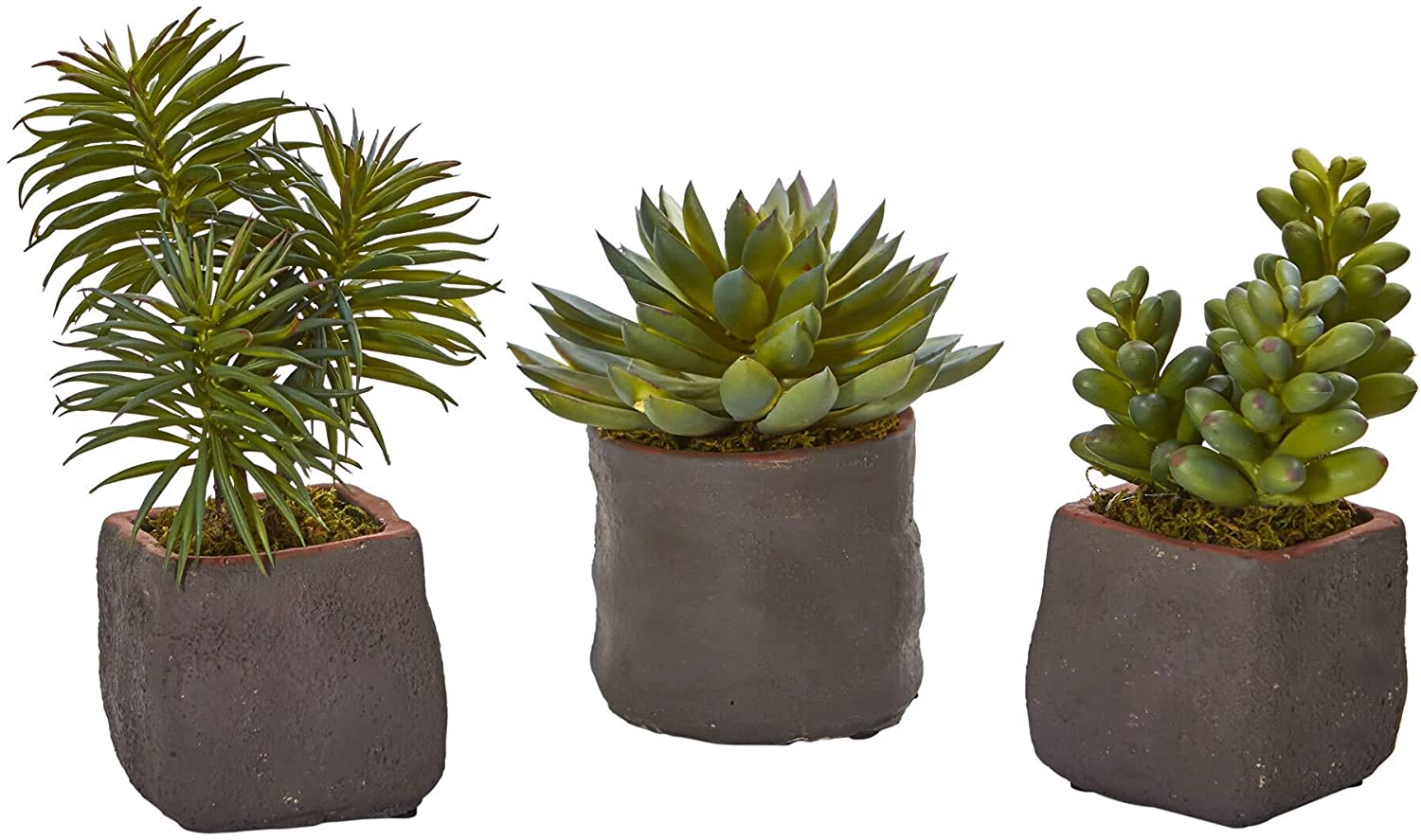 Unknown1 Mixed Succulent Trio Artificial Plant (Set 3)