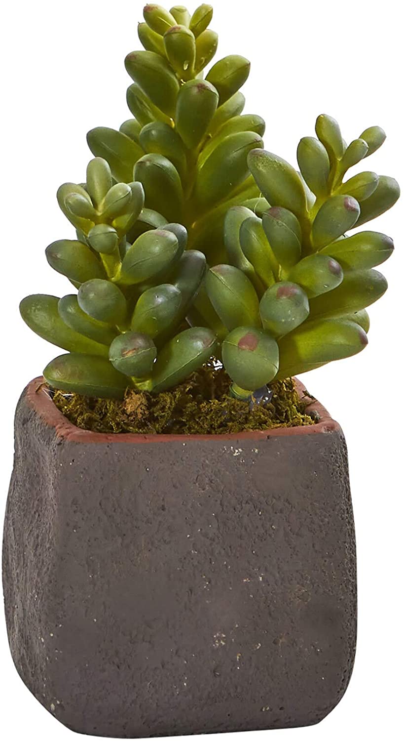 Unknown1 Mixed Succulent Trio Artificial Plant (Set 3)