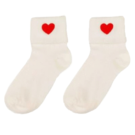 Sale Didizizi Style Embroidery Socks