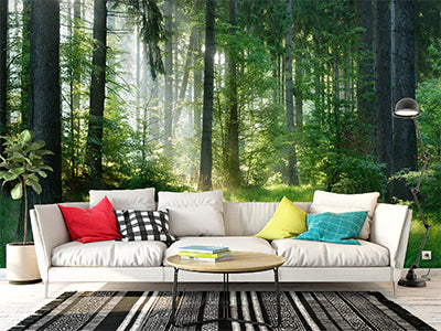 Shop Wall Murals Online - Discounted Wallpaper | AJ Wallpaper