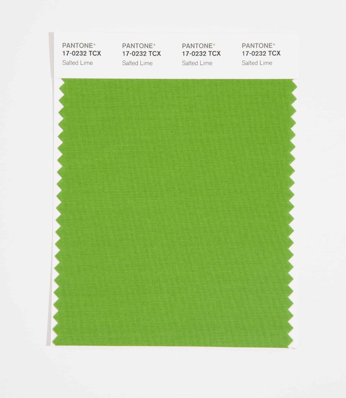 Pantone SMART Color Swatch Card 17-0232 TCX (Salted Lime)