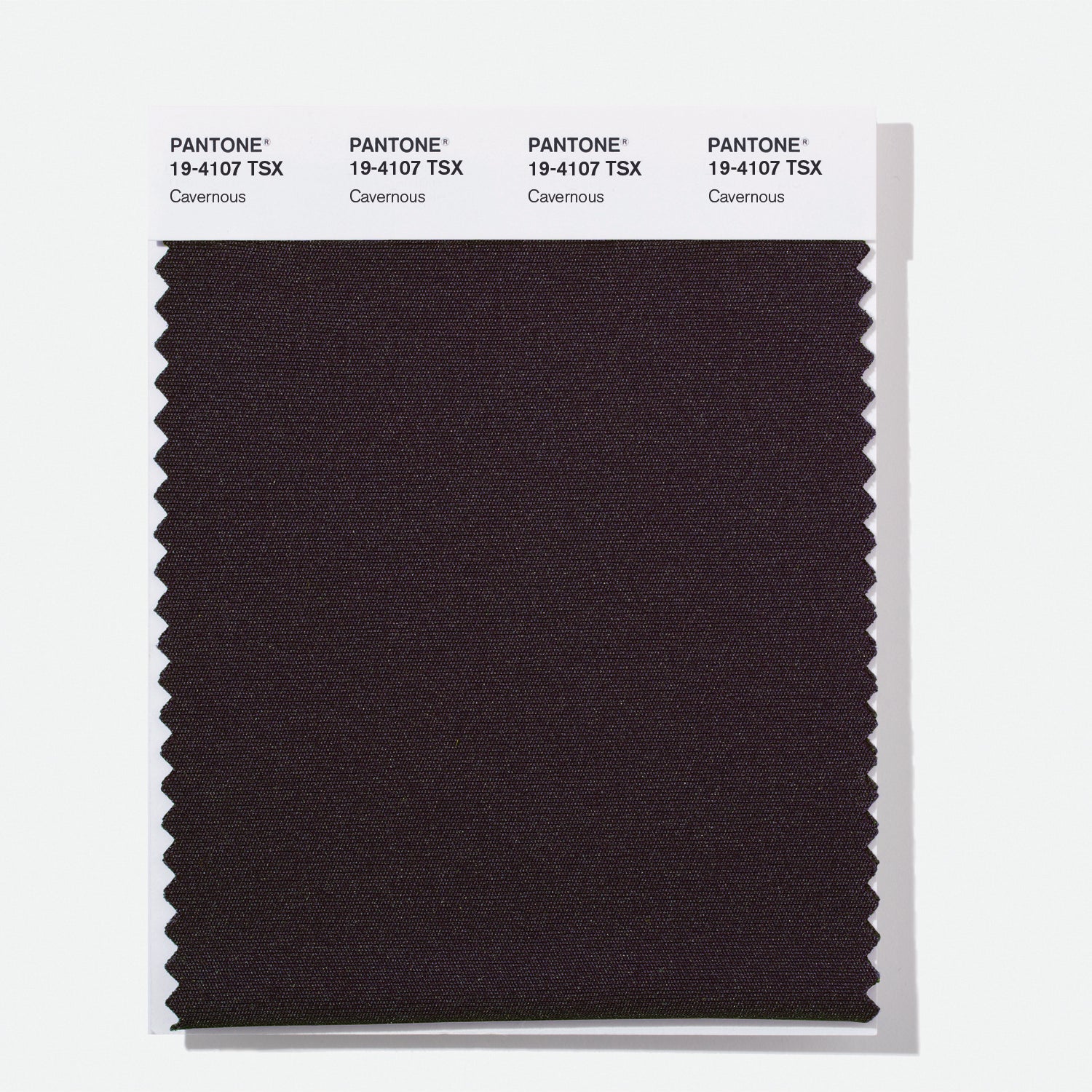 Pantone Polyester Swatch Card 19-4107 TSX (Cavernous)