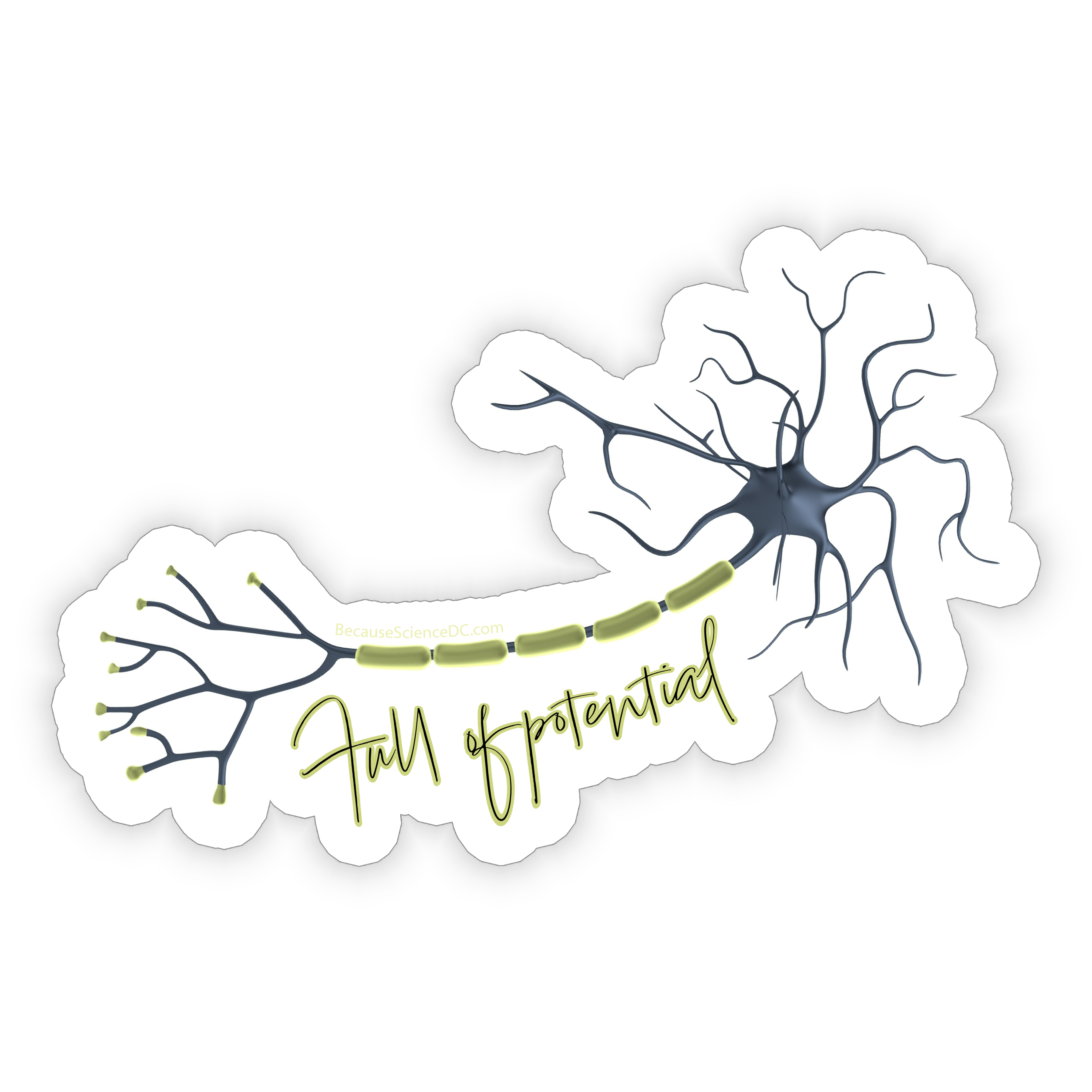 Full of Potential - Vinyl Sticker