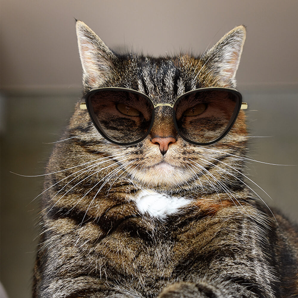 NARVA | Women Sleek Glitter Glamour Cat Eye Feline Fashion Sunglasses