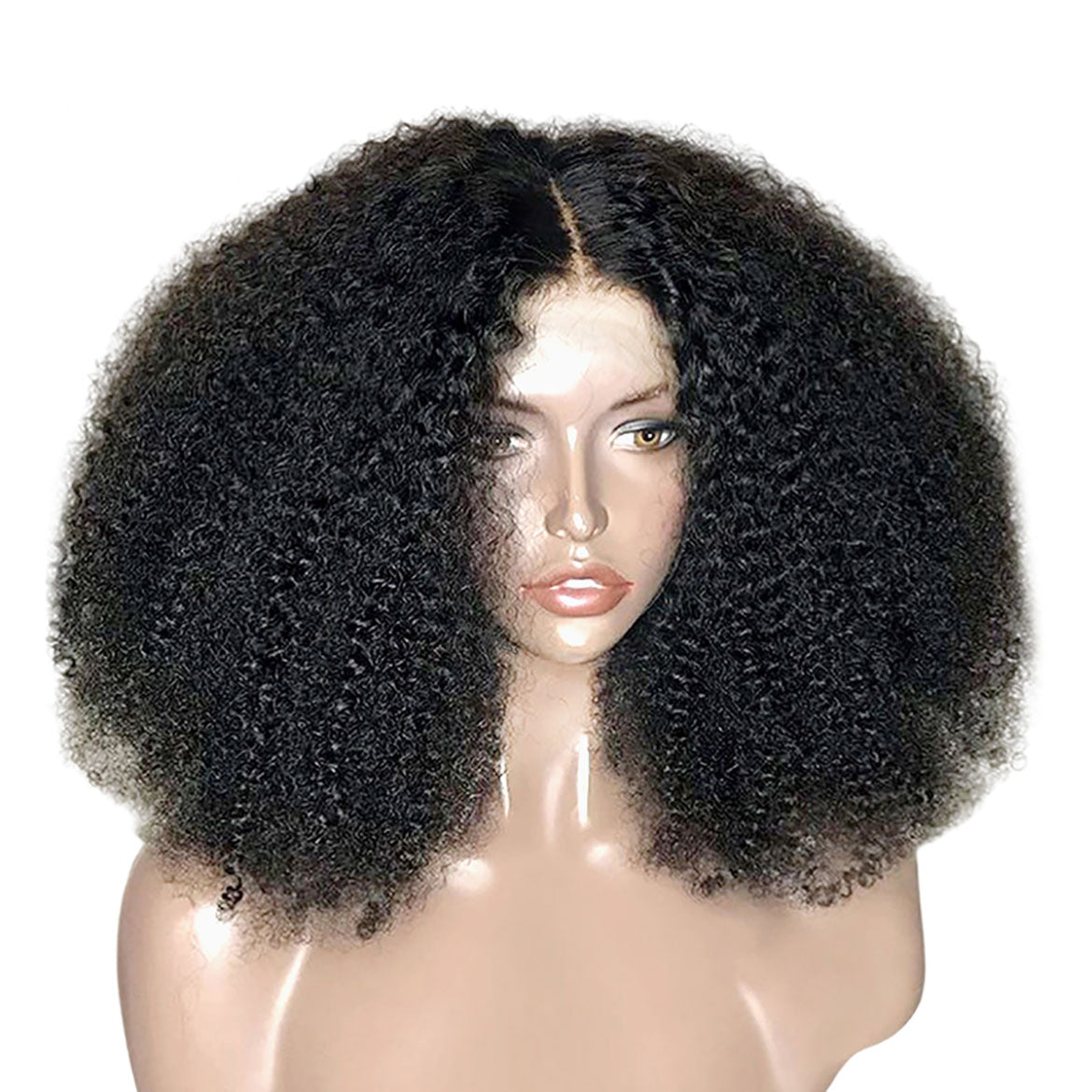 Kinky Curly Human Hair Wigs