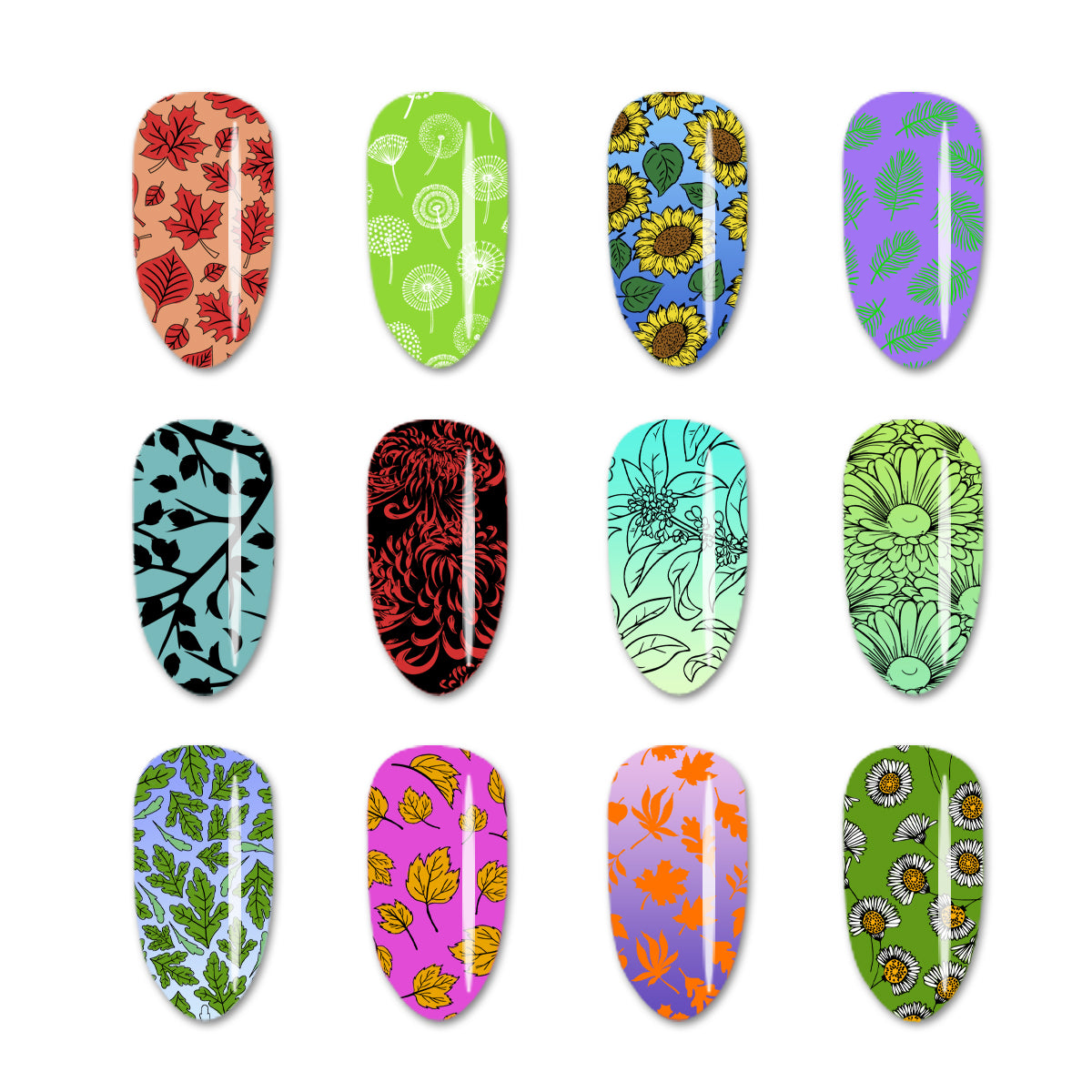 Nail art Stamping Plate Template Manicure Flower Halloween Autumn Maple Leafs Plants BeautyBigBang-Flowers-XL-013