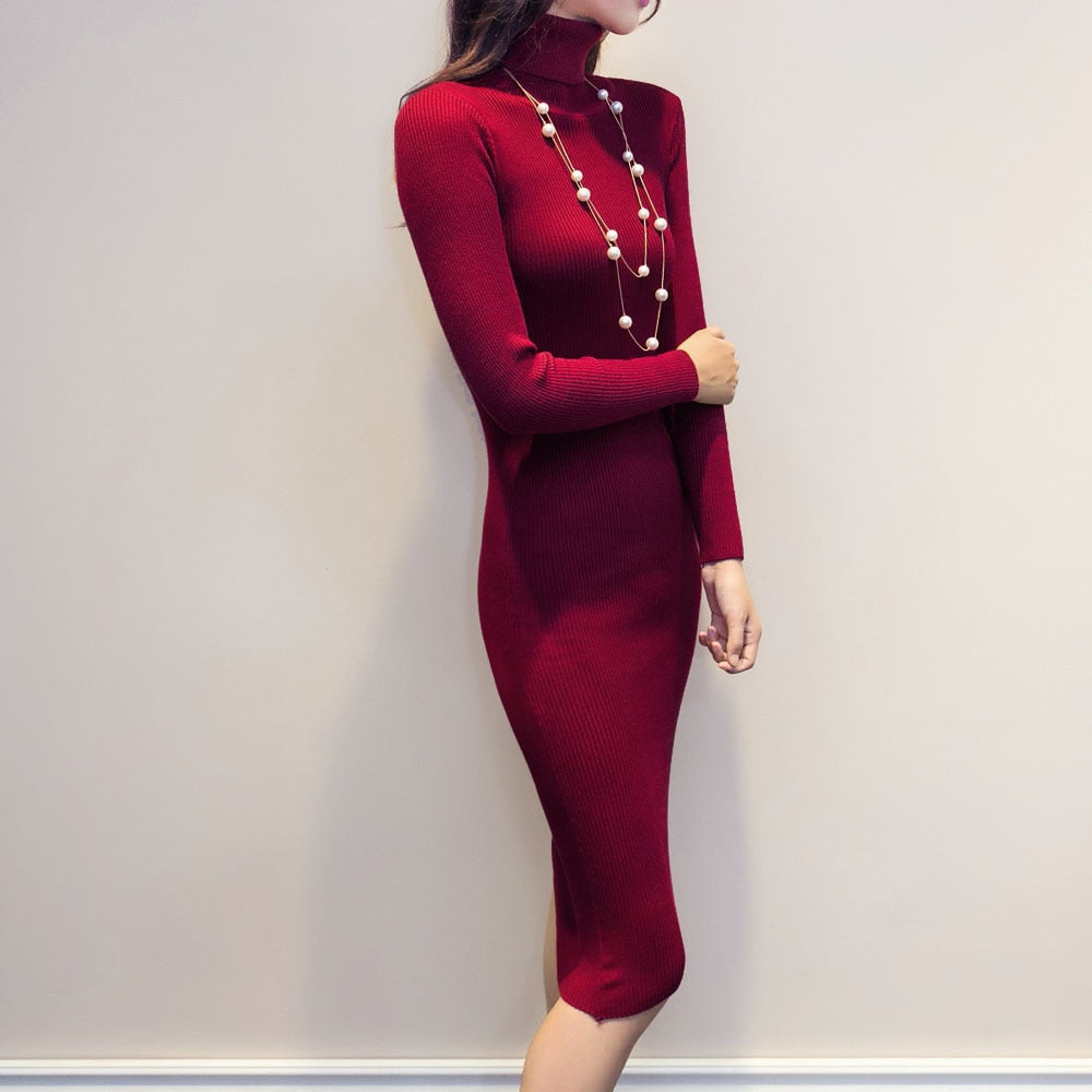 Karen Reilly Knitted Slim Elastic Turtleneck Long Sleeve Sweater Dresses