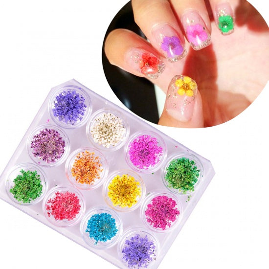Multicolor Dried Flowers for nail art, resin, cards, crafts, cft0300