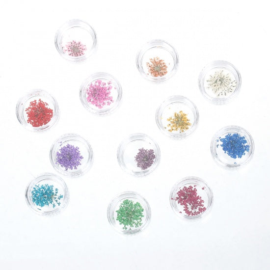 Multicolor Dried Flowers for nail art, resin, cards, crafts, cft0300