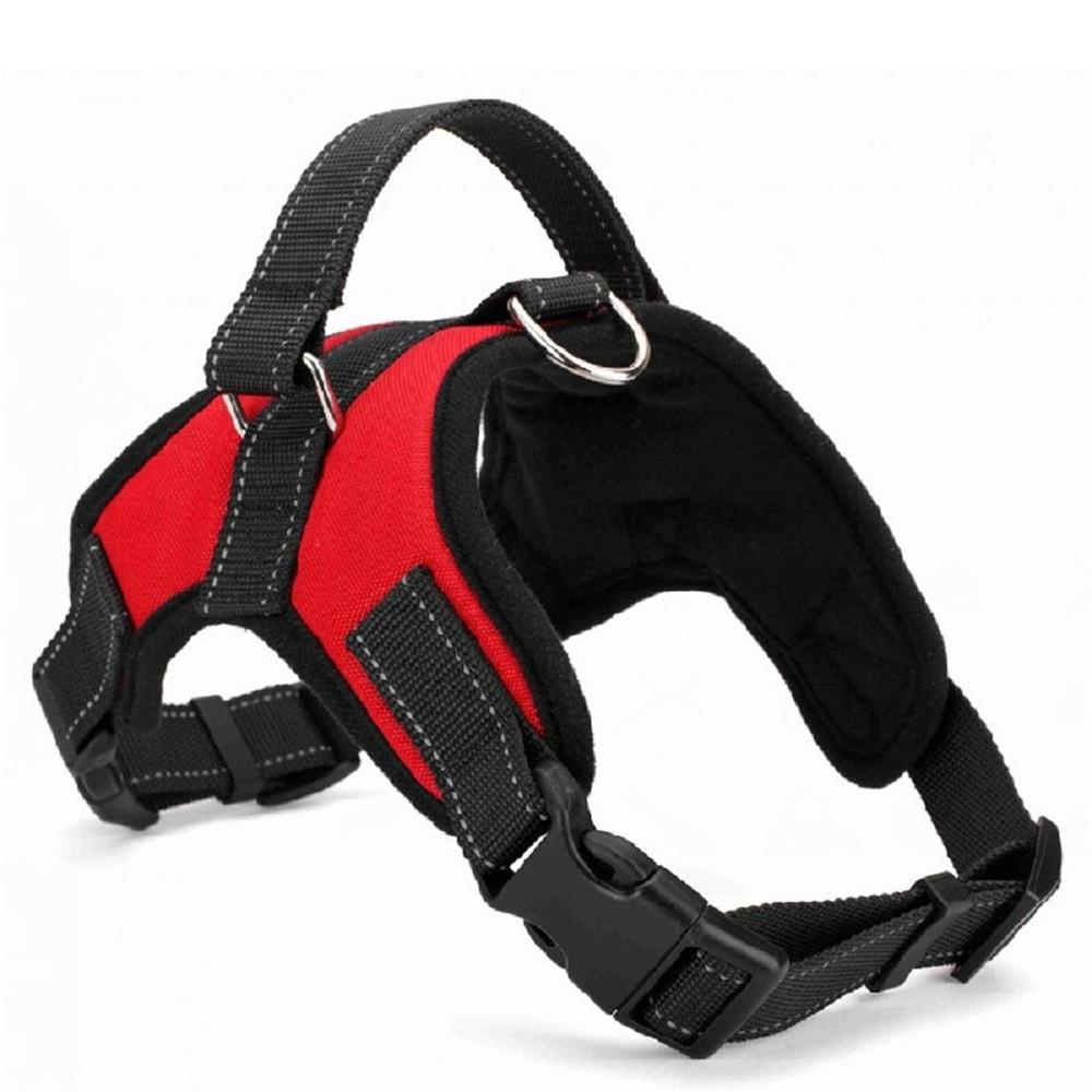 Pet Harness Collar Email Promo