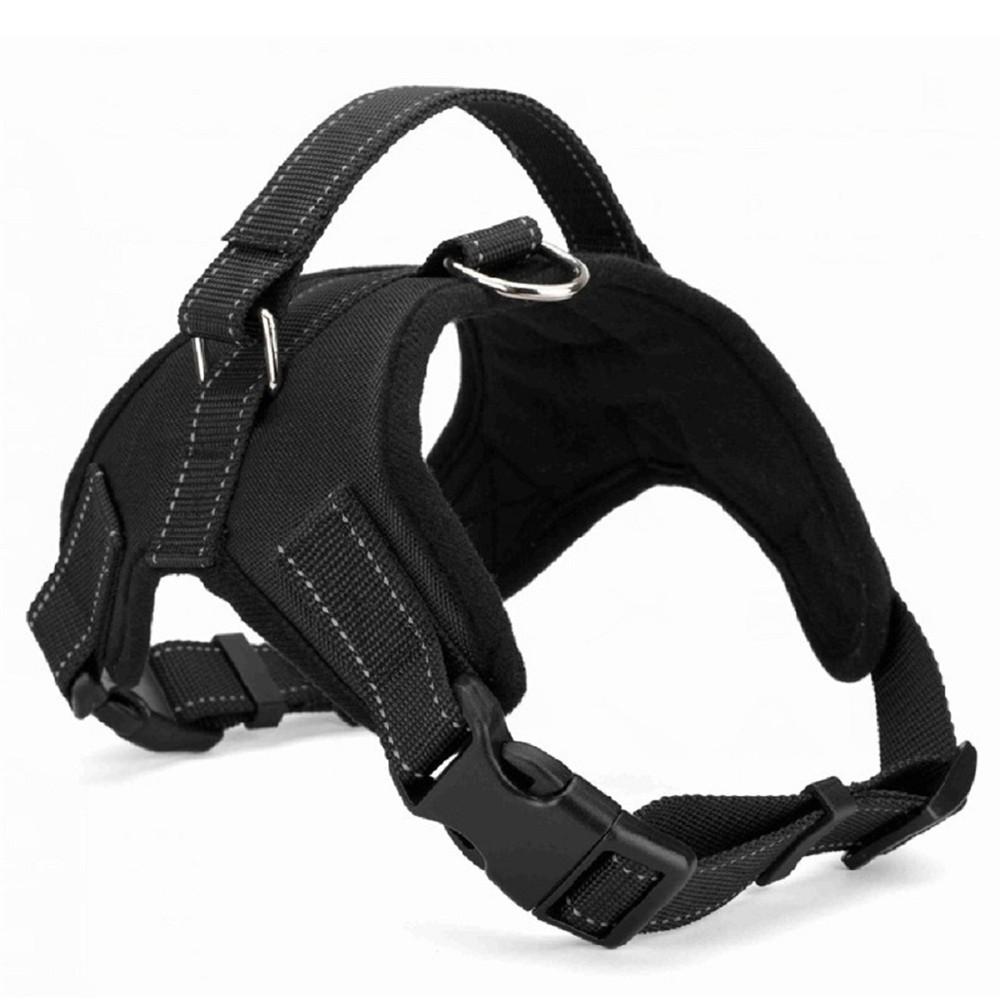 Pet Harness Collar Email Promo