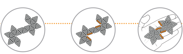 Magnetic Balls Quick Start Guide Buckyballs