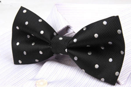 Classy Men Bow Tie Fancy