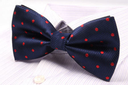 Classy Men Bow Tie Fancy