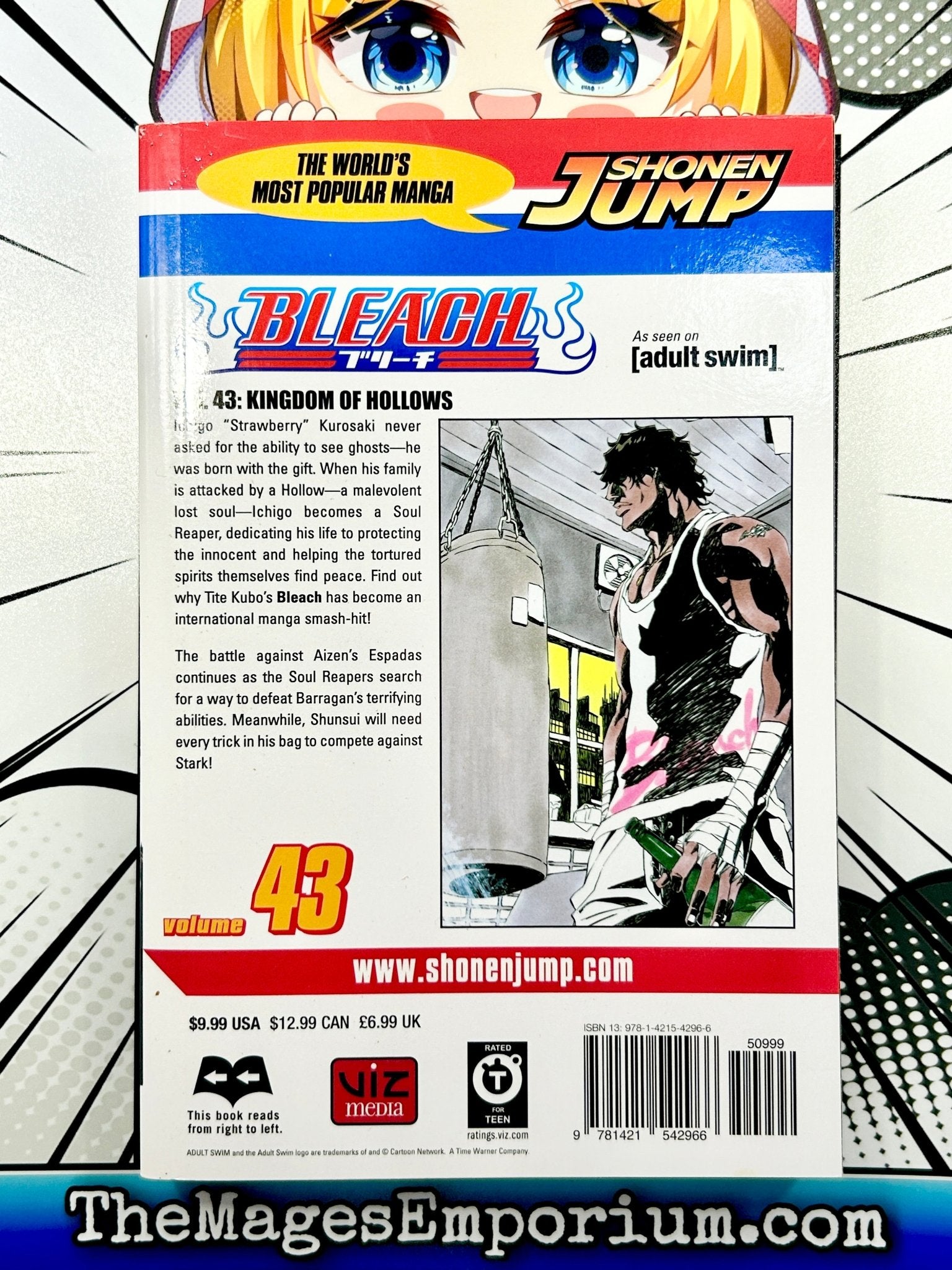 Bleach Vol 43