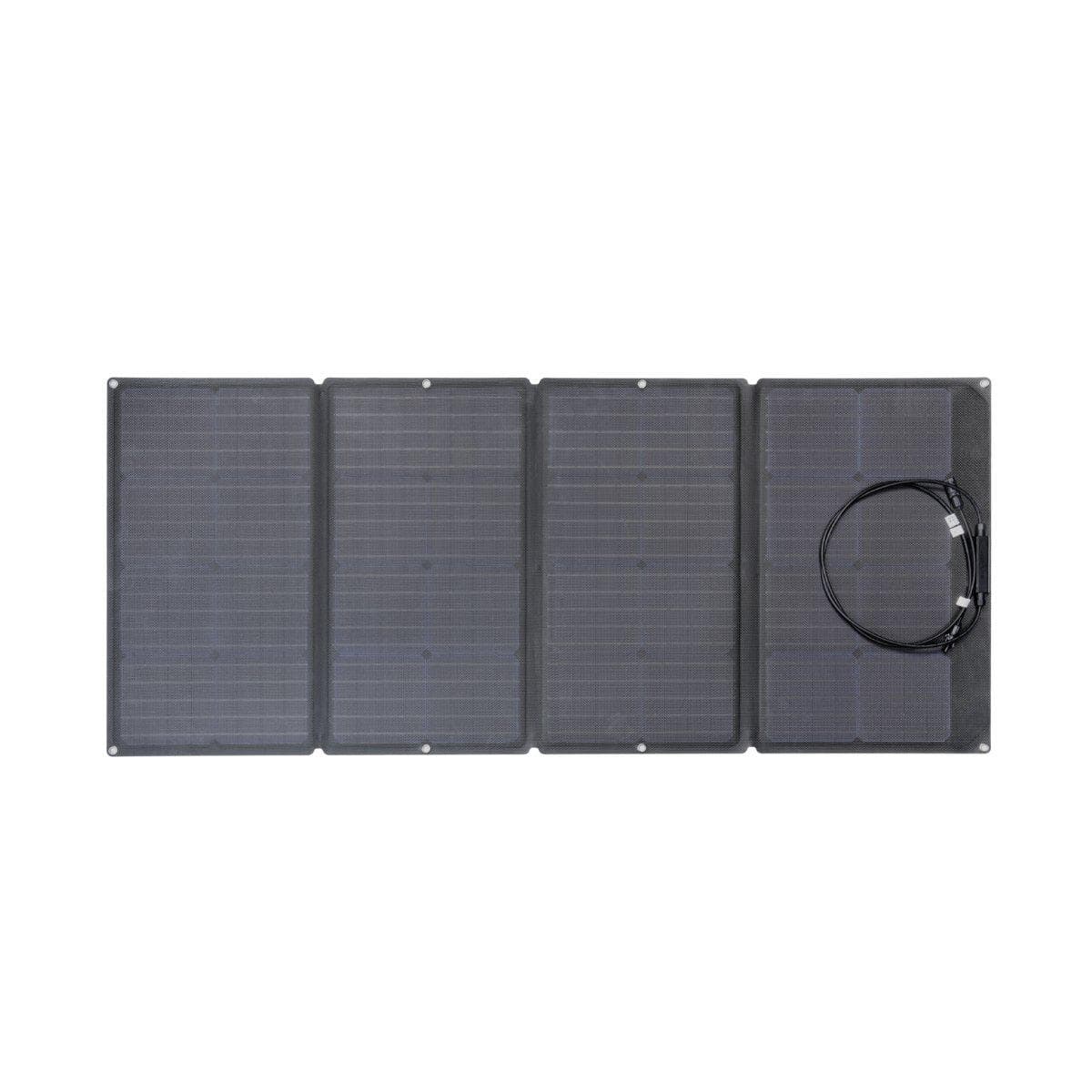 EcoFlow 160W Solar Panel (Costco Sale)