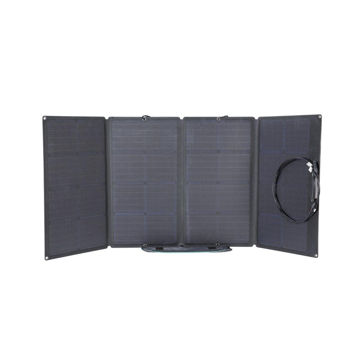 EcoFlow 160W Solar Panel (Recommended Accessory)