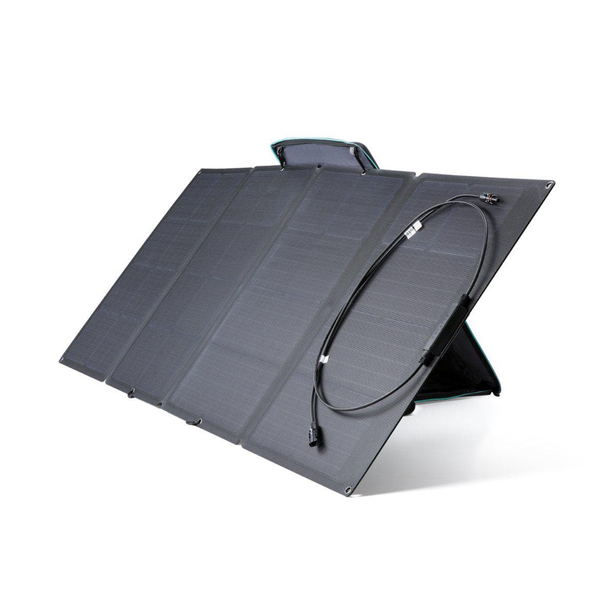 EcoFlow 160W Solar Panel (Recommended Accessory)