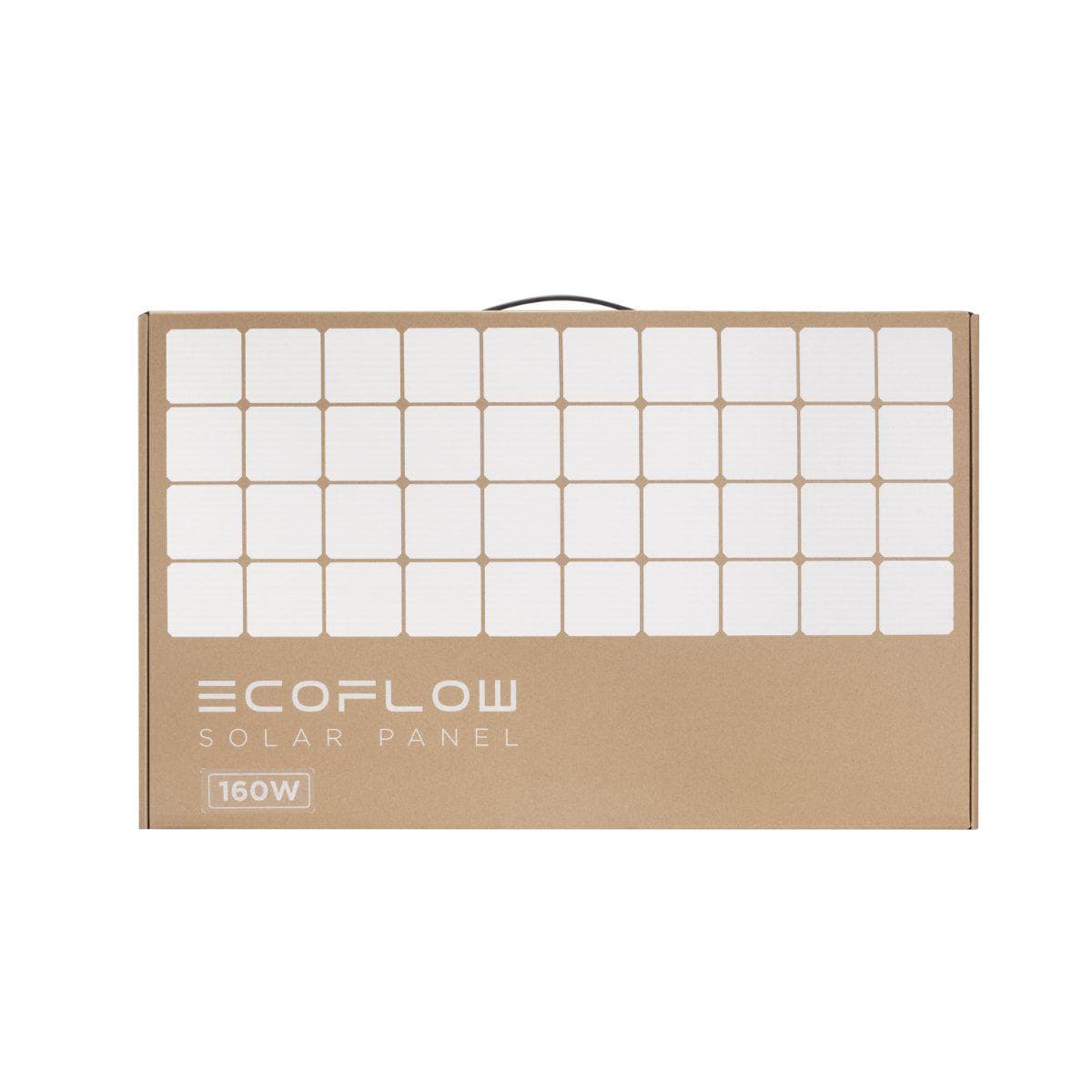 EcoFlow 160W Solar Panel (Recommended Accessory)