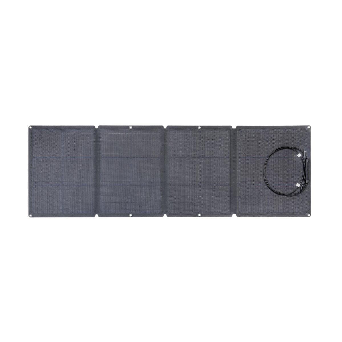 EcoFlow 110W Solar Panel (Recommended Accessory)