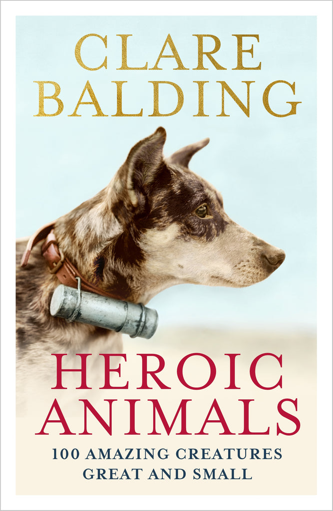 clare baldings heroic animals