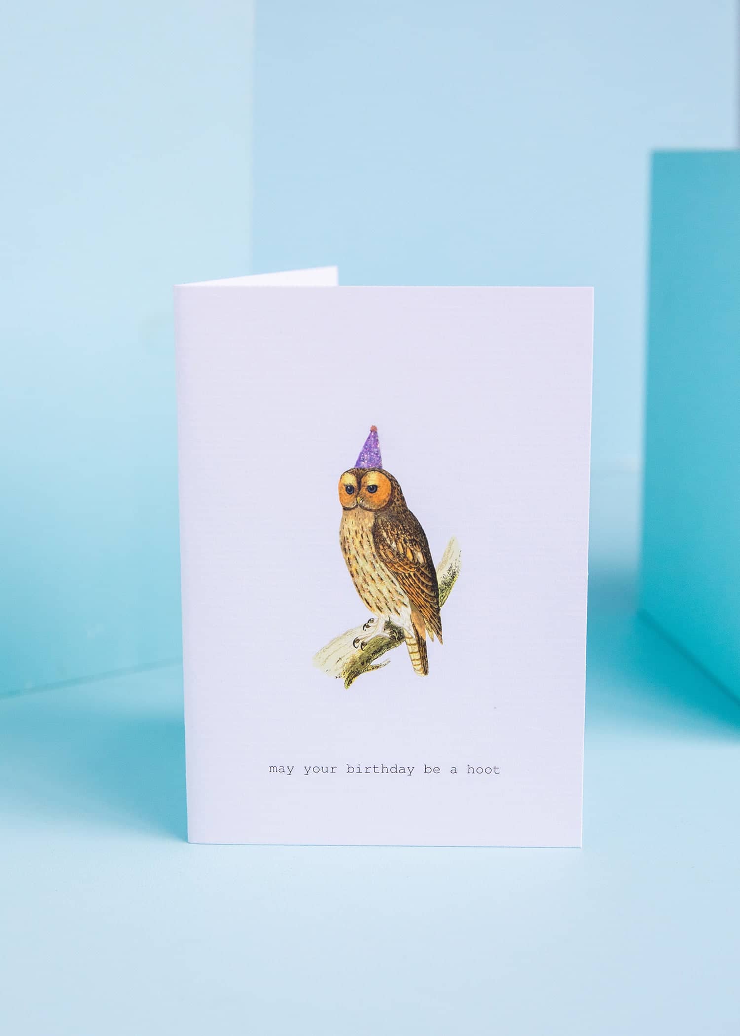  Birthday Hoot Greeting Card 