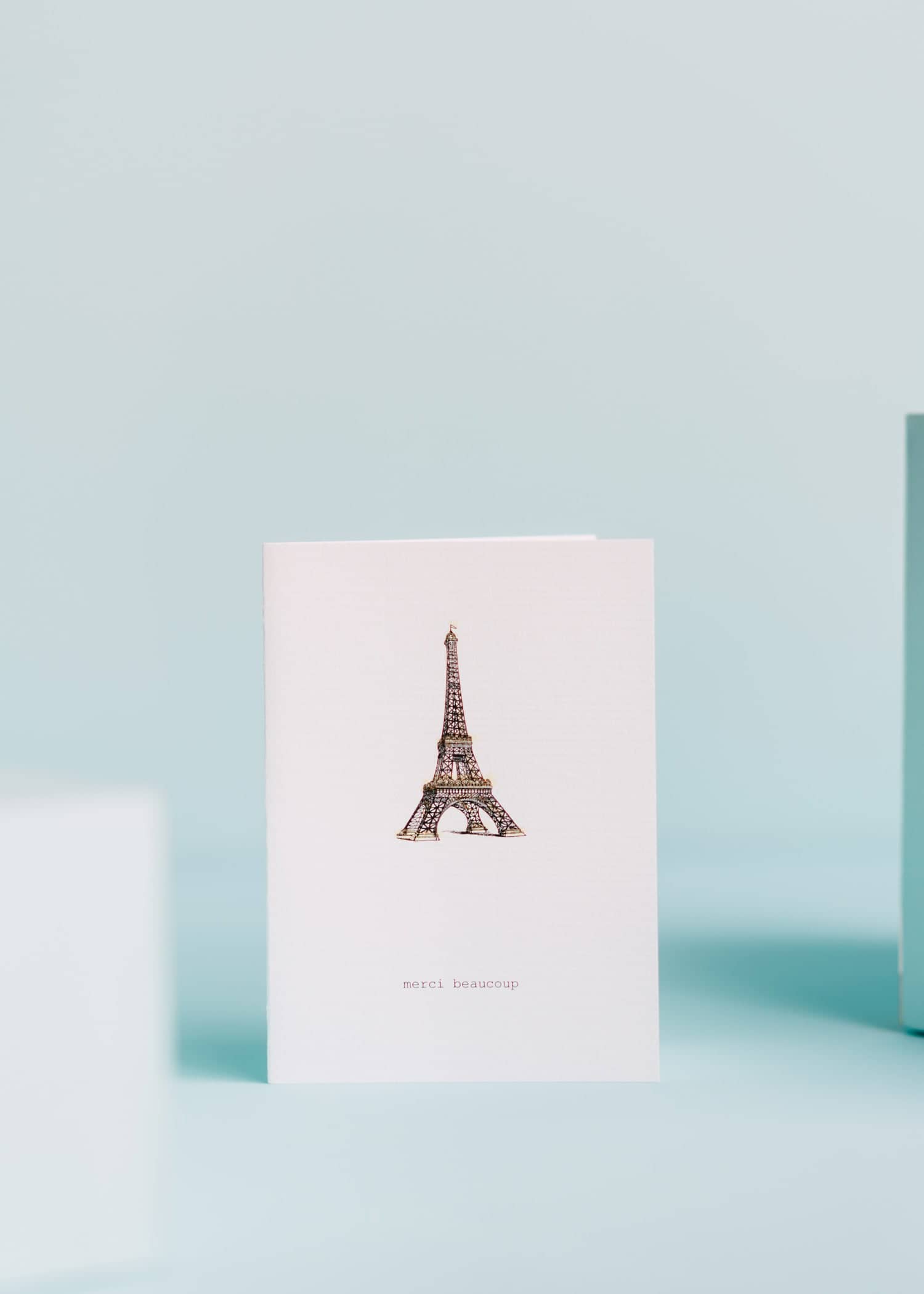  Merci Beaucoup Greeting Card 