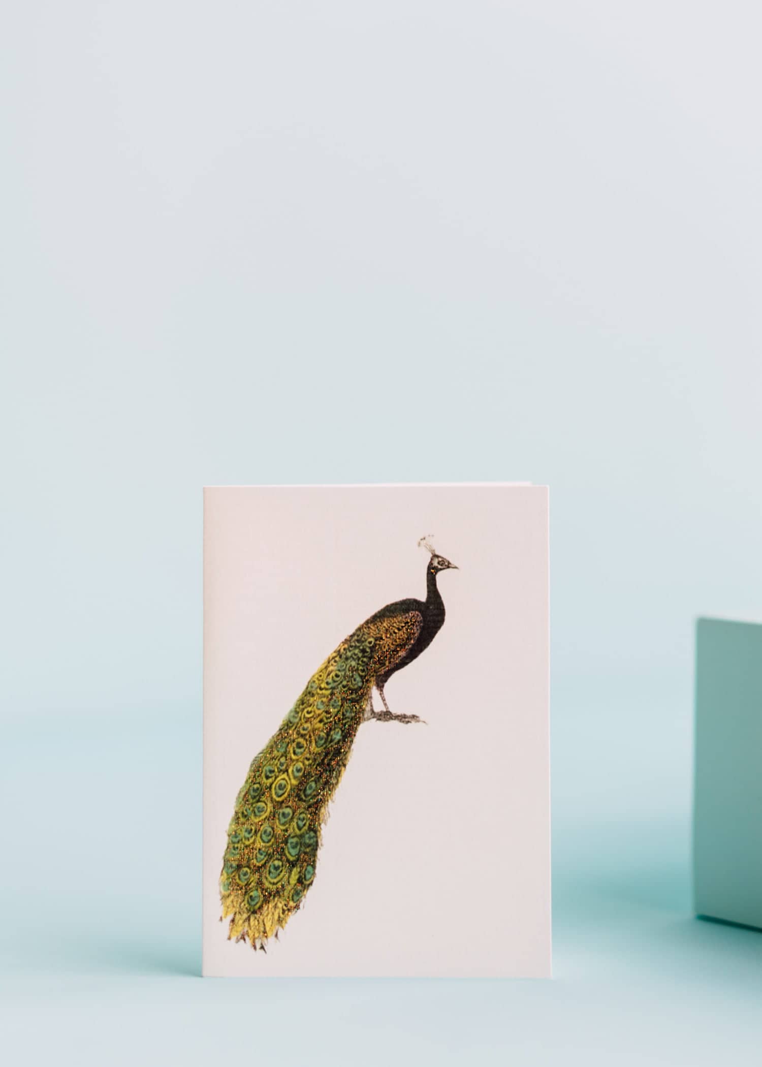  Peacock Greeting Card 