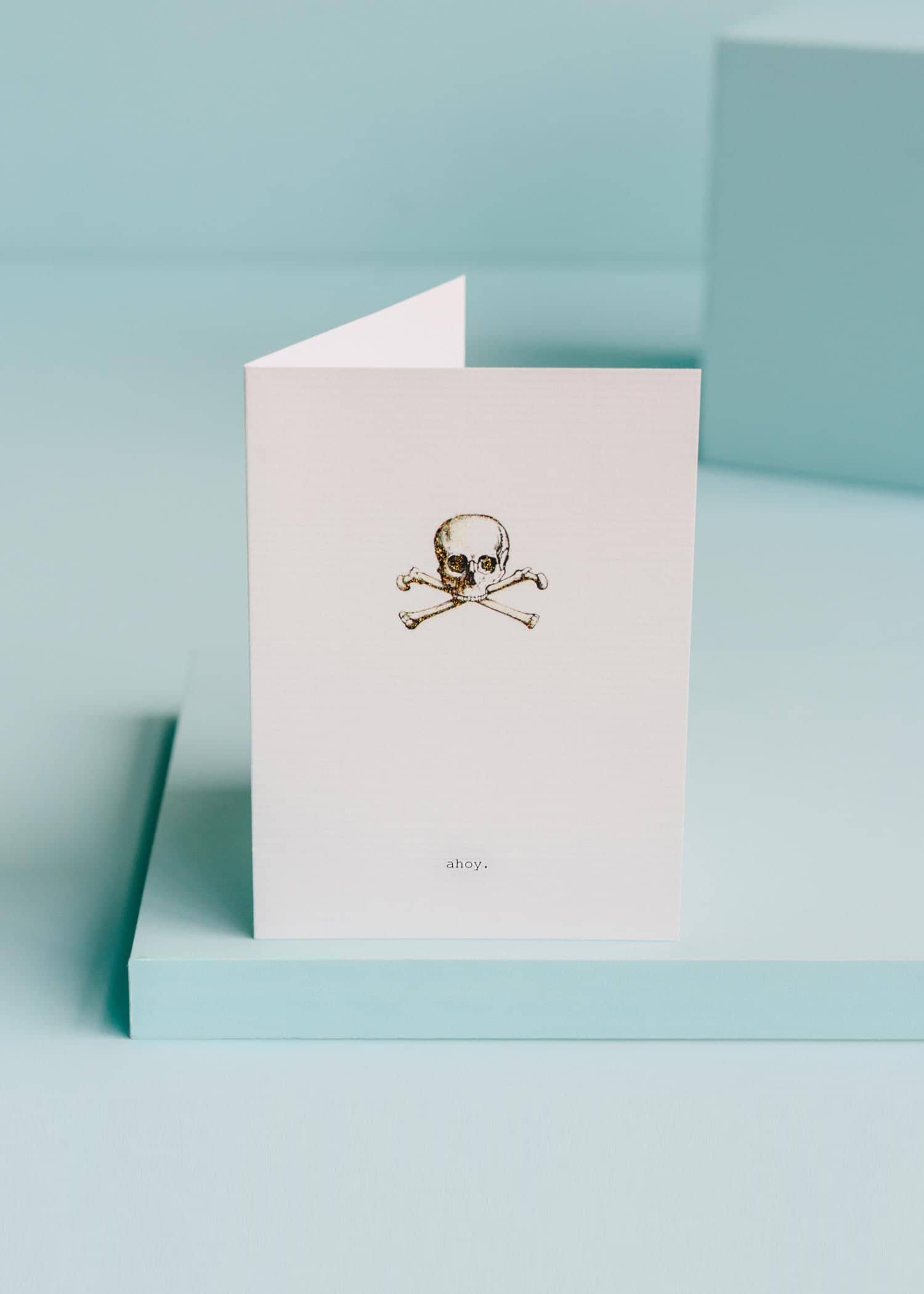  Ahoy Greeting Card 