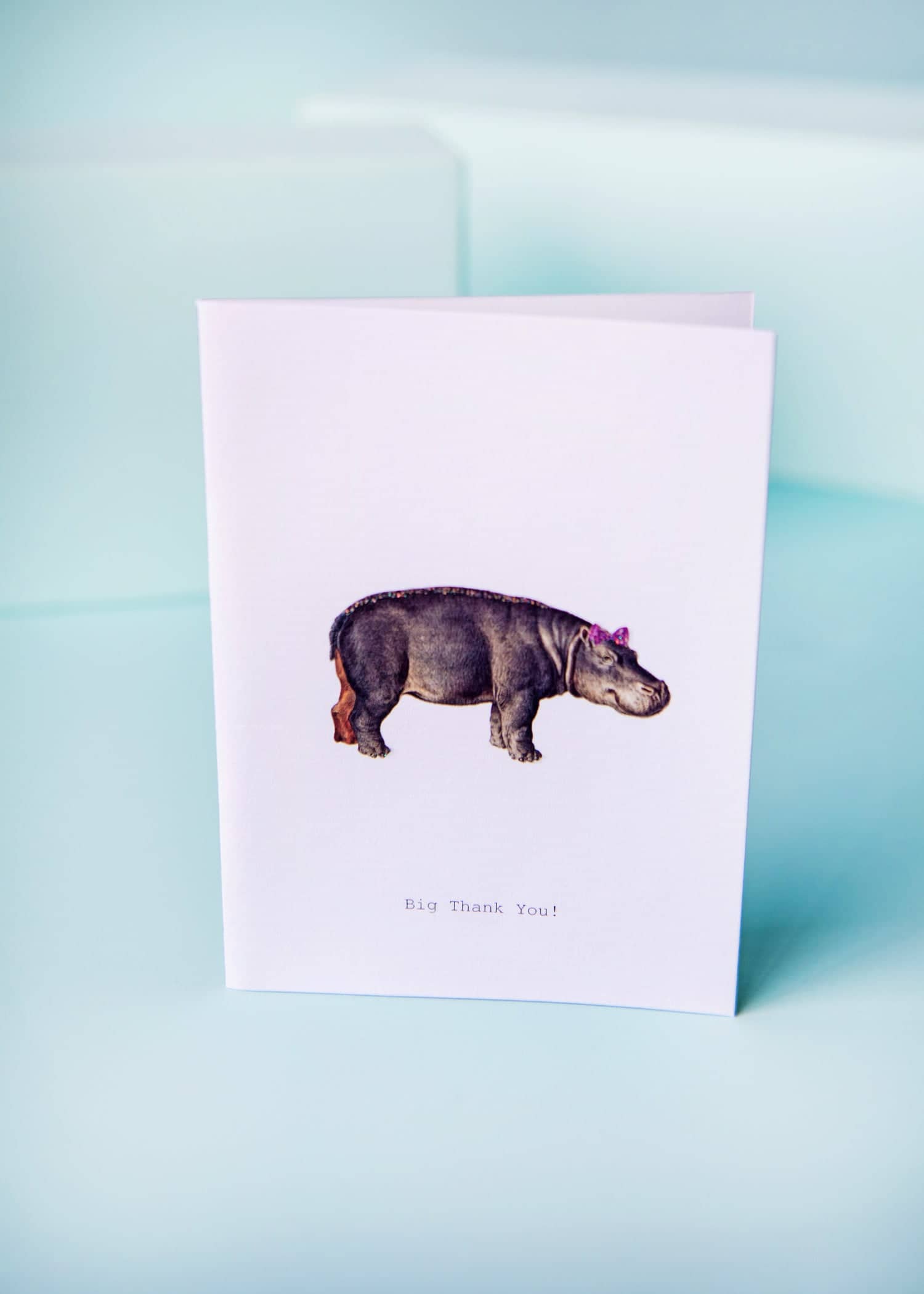  Thank you Hippo Greeting Card 