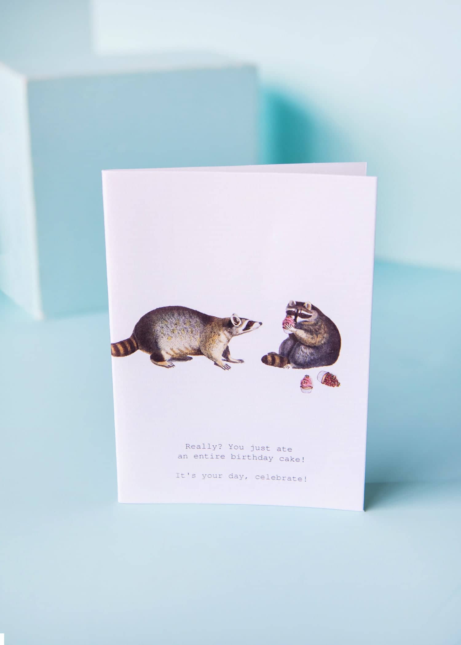  Raccoons Your Day Greeting Card 